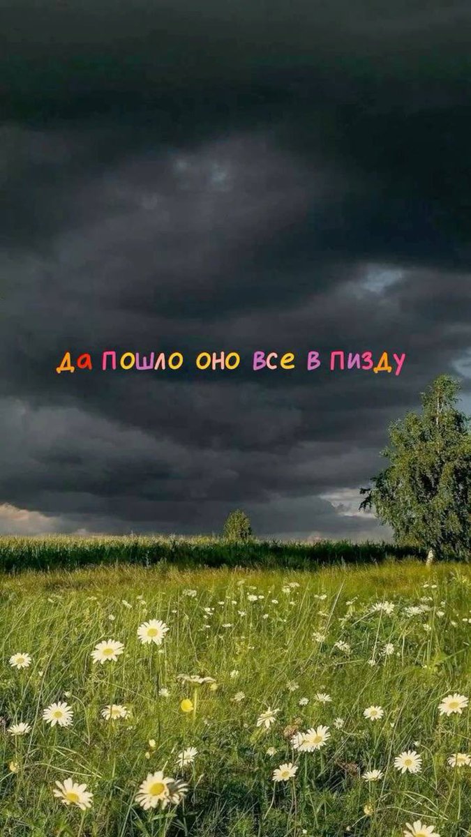 pisyakisya89's tweet photo. разбирайте обои на телефон https://t.co/Wg8iM9e8m4