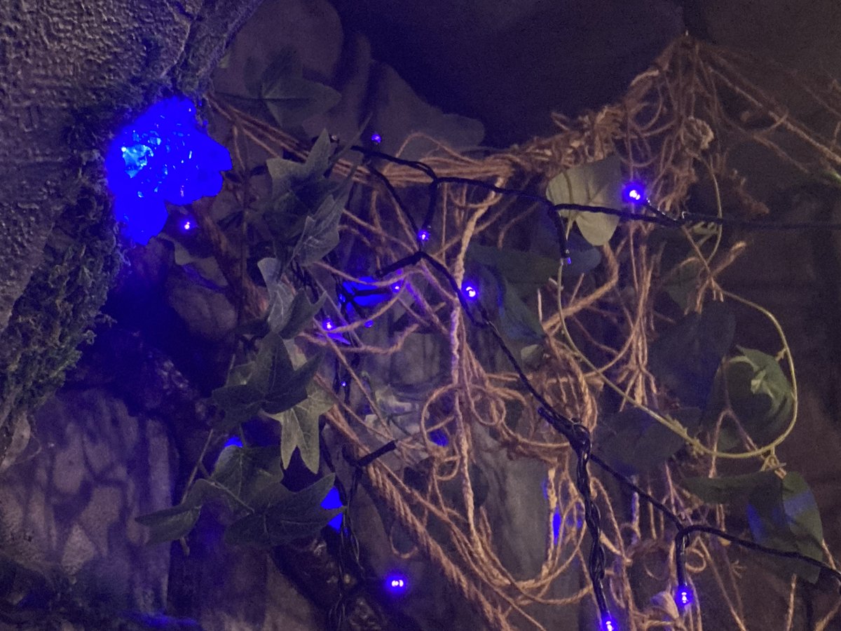 may_yxxx's tweet photo. 料理はもちろんなんですが、特筆すべきは手作りの外装と内装…！　このクリスタル産出してる岩壁、家に欲しい…！！！ https://t.co/mSBIsIBXJX