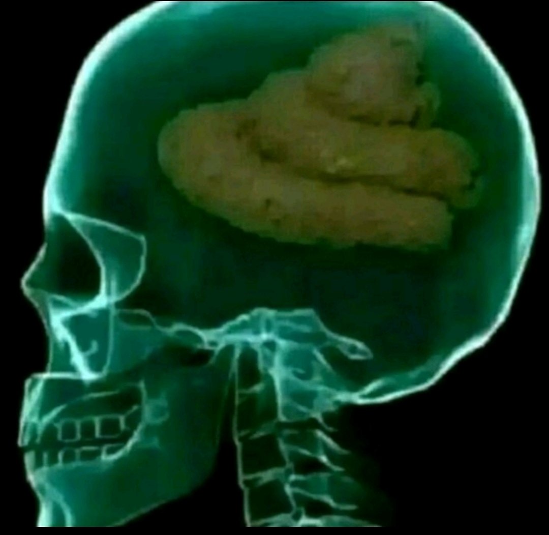 إنسان tweet media