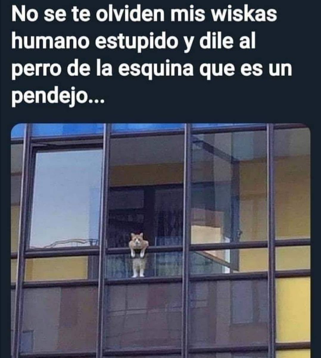 BASTA🔥 tweet media