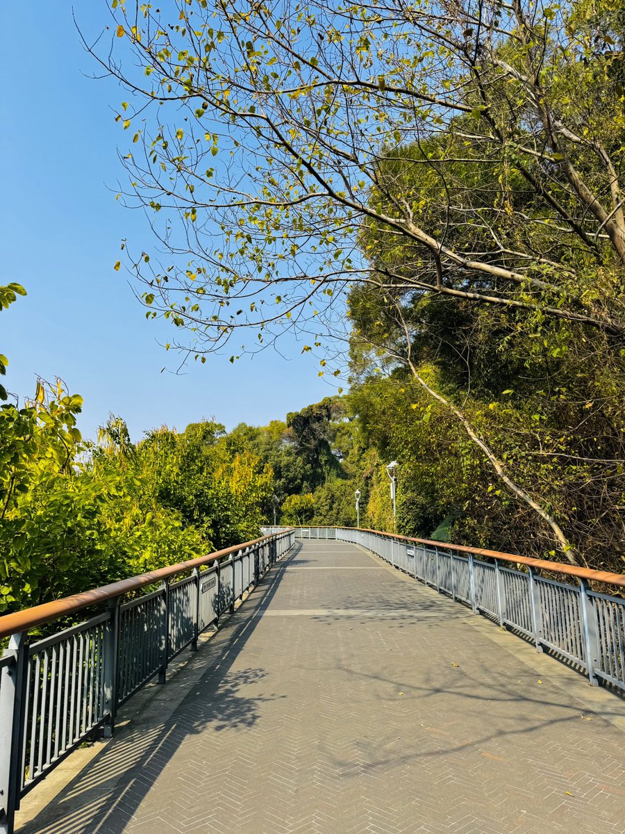 haiwei0567's tweet photo. Some recent photos
#摄影 #旅行 #日常 #生活 #风景 #随手拍
#travel #life #Scenery #daily #Photography 
#旅行する #風景 #写真を撮る #しゃしん https://t.co/CL7xCXKOmX