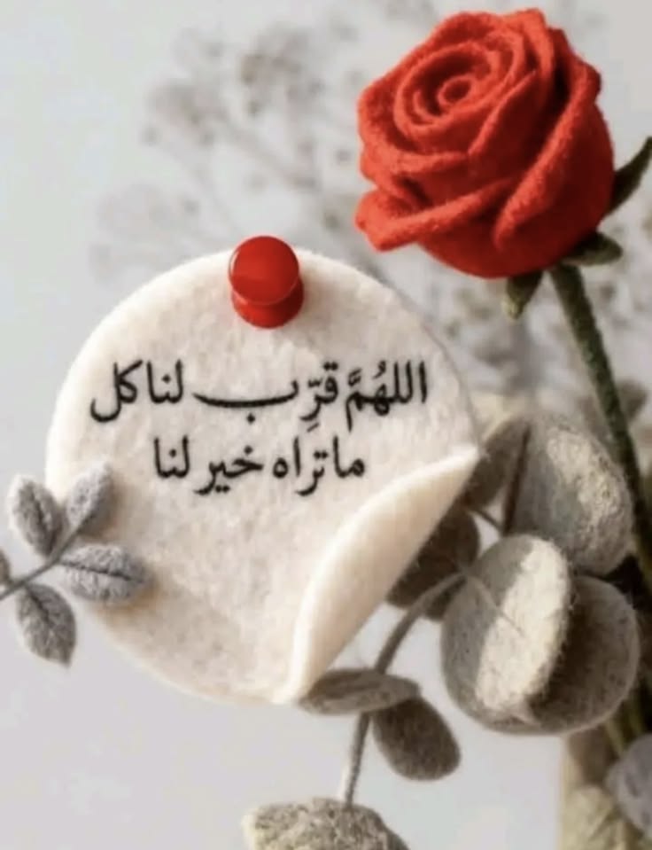مشاعر راقيه🌹 tweet media