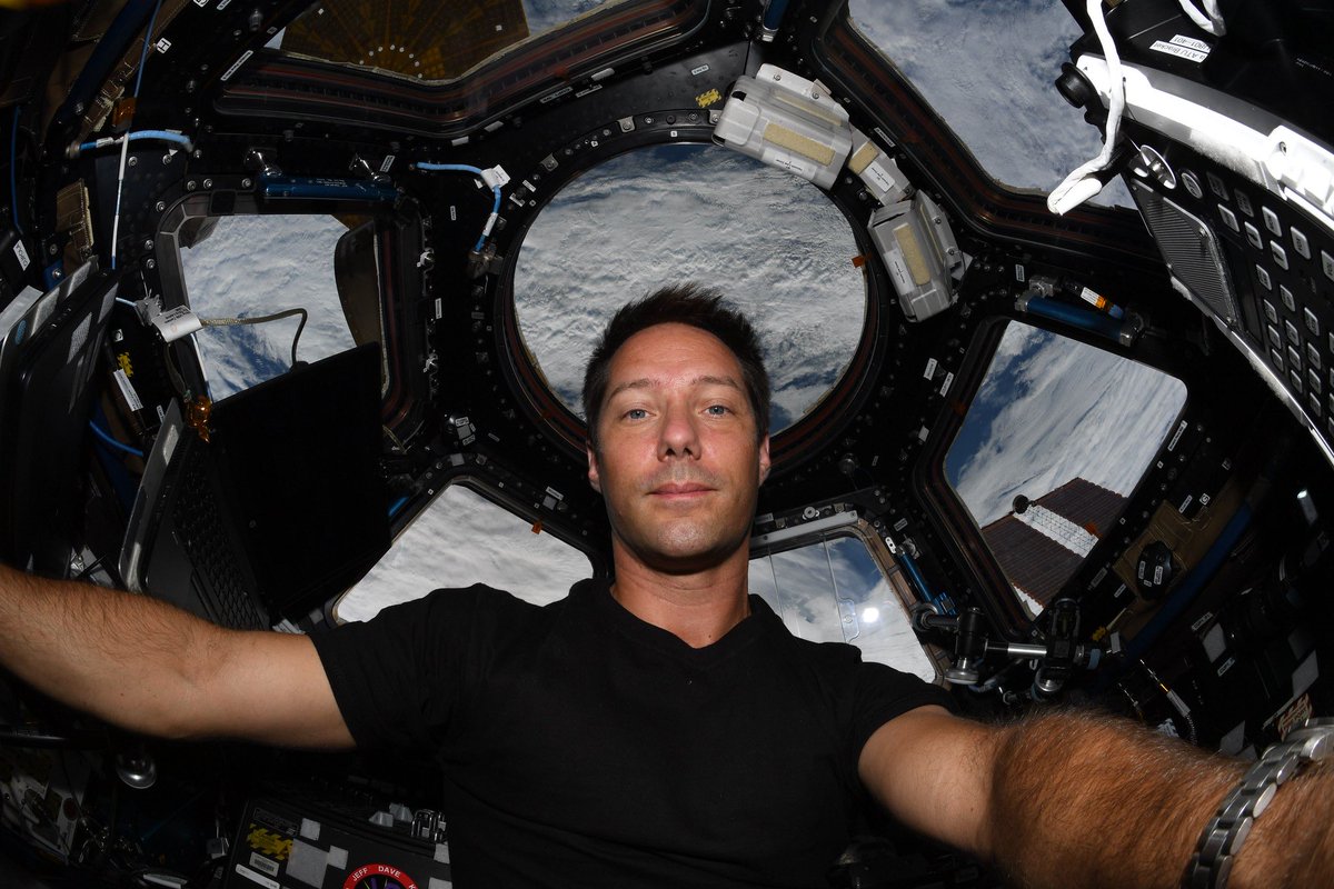 Thom_astro's tweet image. May the 4th be with you, quoi de plus opportun en retombant sur cette photo de la Cupola, la fenêtre de l’ISS… ou est-ce un Tie-fighter ? Moi qui ne suis pas un Space geek, j’ai beaucoup à apprendre en science-fiction… 😅

 #MayThe4th #starwars #starwarsday 
@esa @ESA_fr @nasa