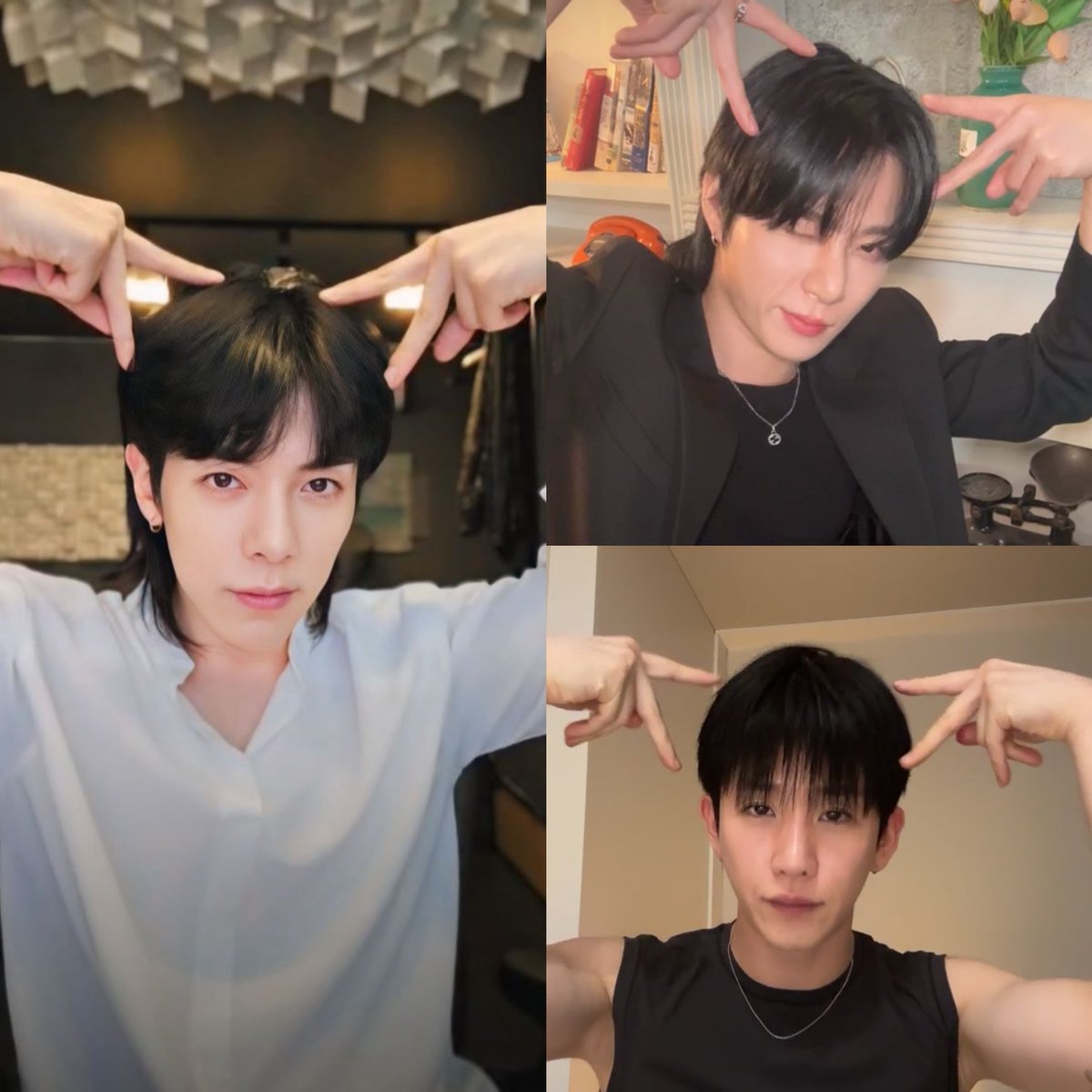 byunmiverse's tweet photo. kitties 😽😽😽 https://t.co/IfrZleQPnL