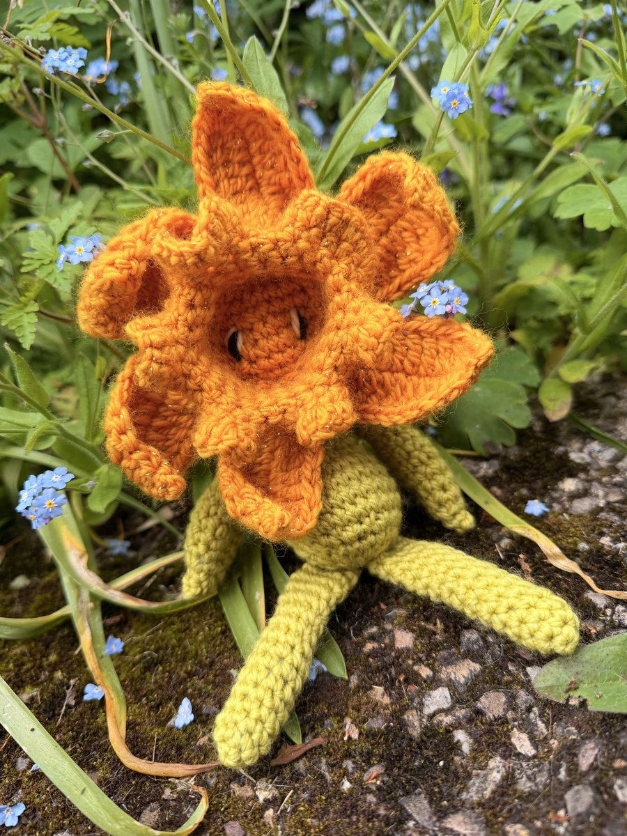 NatCBrooks's tweet photo. Cute little baby @toft_uk daffodil! 🌼 Made with limited edition gold DK! 🙌🏼✨
#craftynat83 #toftuk #daffodils🌼 #sparkle #anniversaryflower https://t.co/1BKWAp06Ij