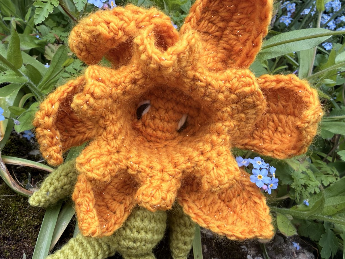 NatCBrooks's tweet photo. Cute little baby @toft_uk daffodil! 🌼 Made with limited edition gold DK! 🙌🏼✨
#craftynat83 #toftuk #daffodils🌼 #sparkle #anniversaryflower https://t.co/1BKWAp06Ij