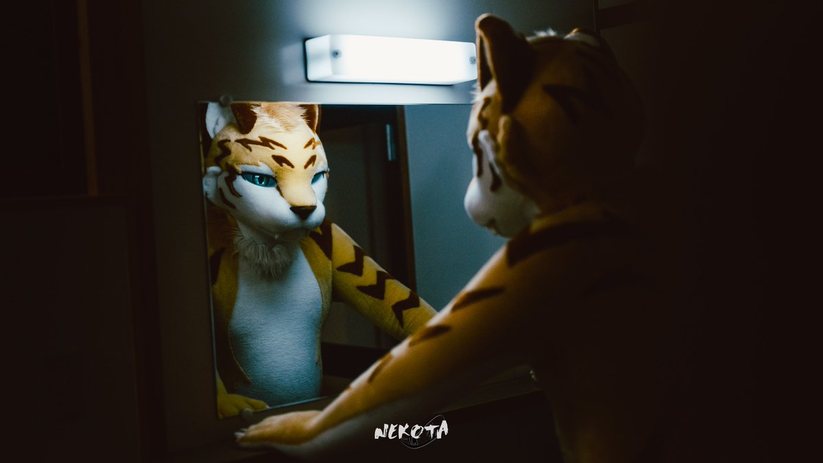 ネコタ@NEKOTA➡UTFG (@hinekota) / Posts / X