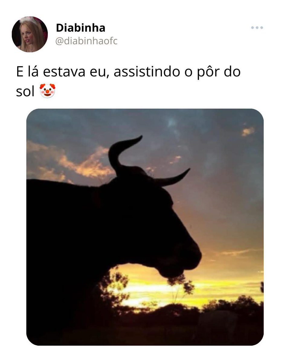 Prof. Paullo tweet media