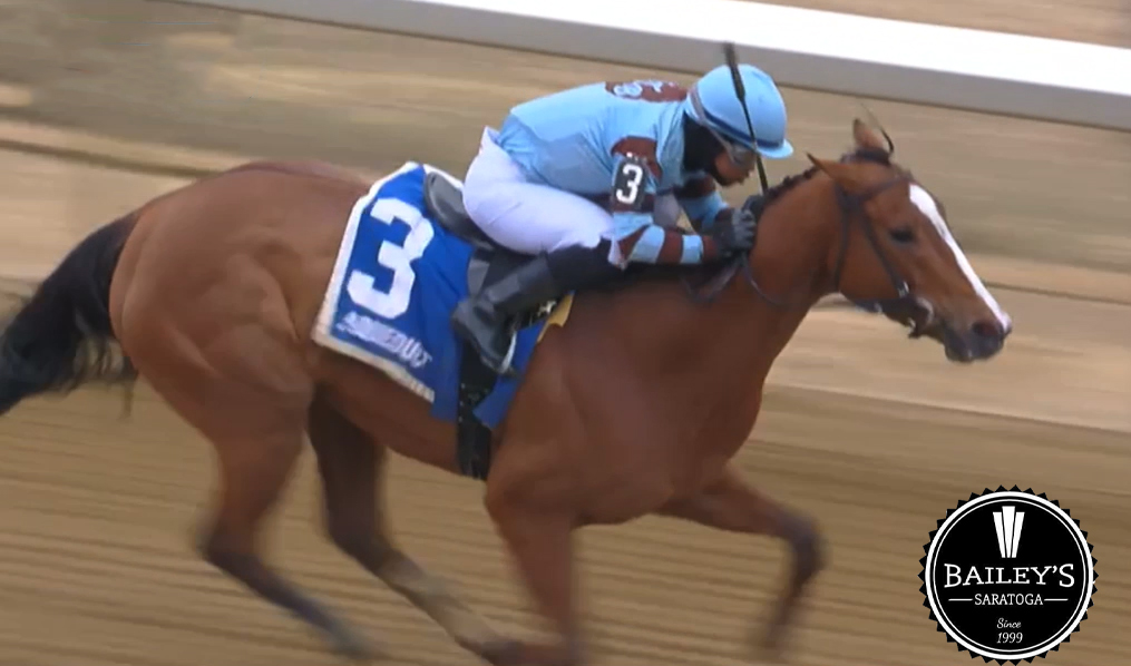 America’s Pastime Stables tweet media