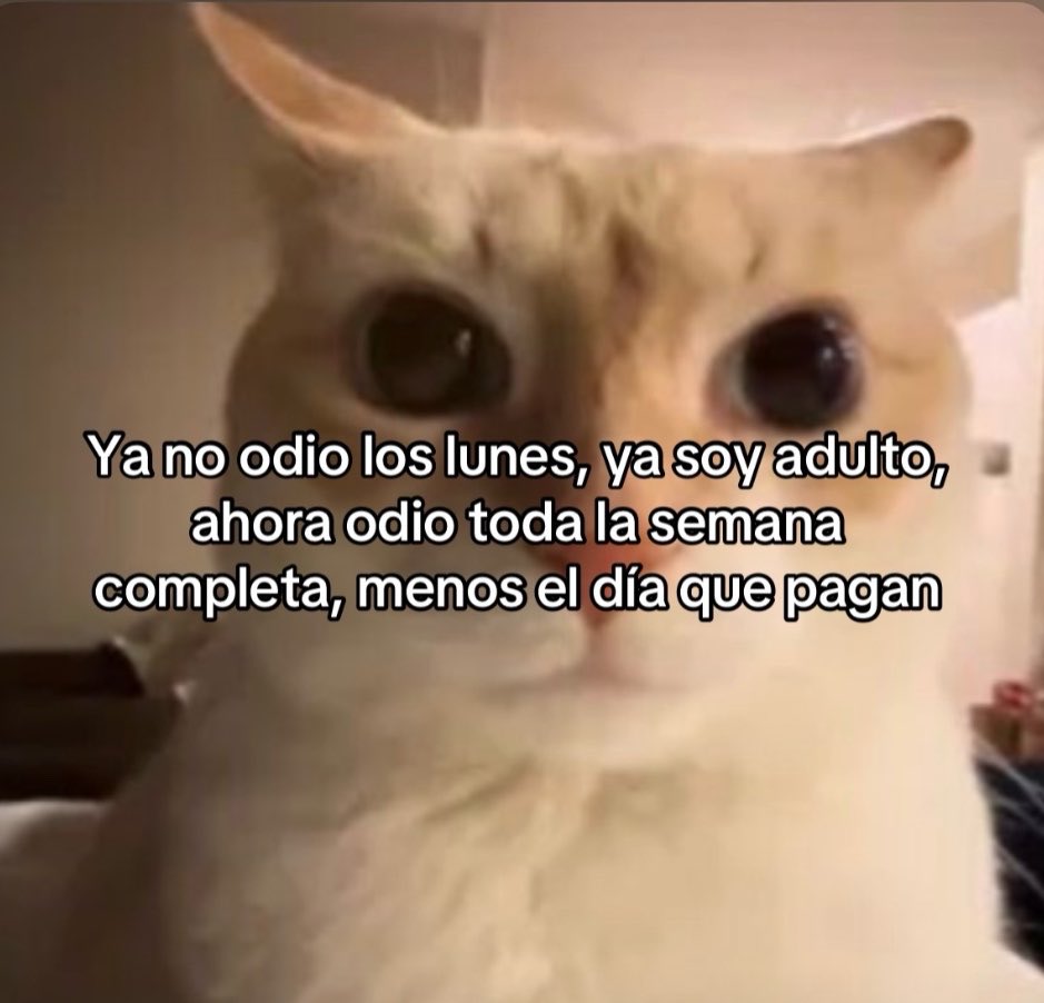 norelenita's tweet photo. Hola 👋🏼 https://t.co/zyphn1JZvg