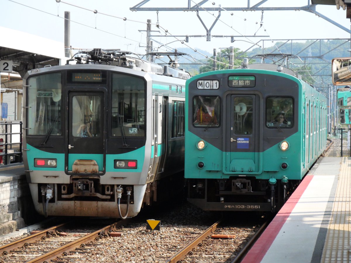 やまとじらいん tweet media