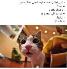 ⚯ ͛ tweet media