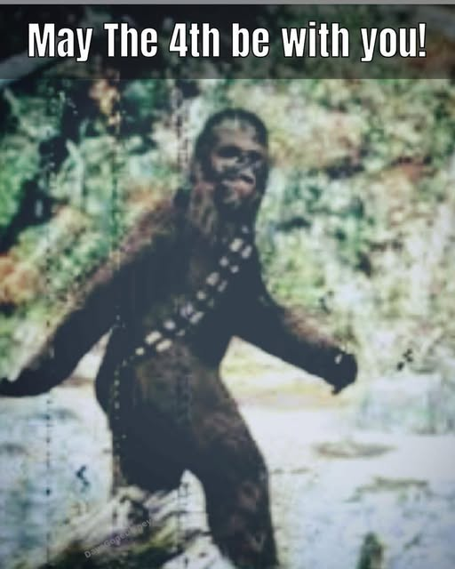 Wookie Burgers tweet media