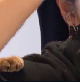 อุ้งพี่ออน 🐾 😭😭😭 เค้าอยากมีส่วนร่วมตลอด ให้ลีออนถ่ายด้วยคับ