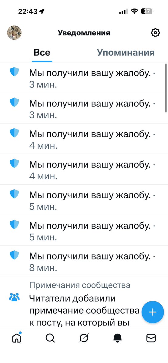CatNose tweet media