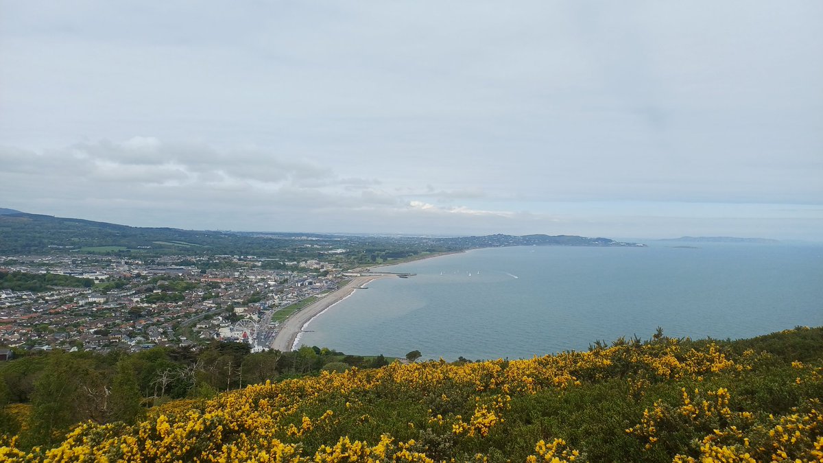 willow34's tweet photo. Bray head https://t.co/lu4Gv01ebb