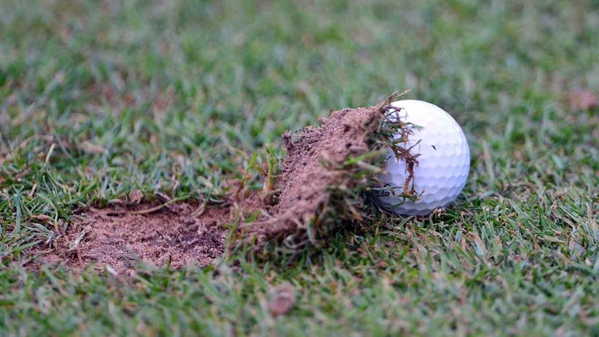 NUCLR GOLF tweet media