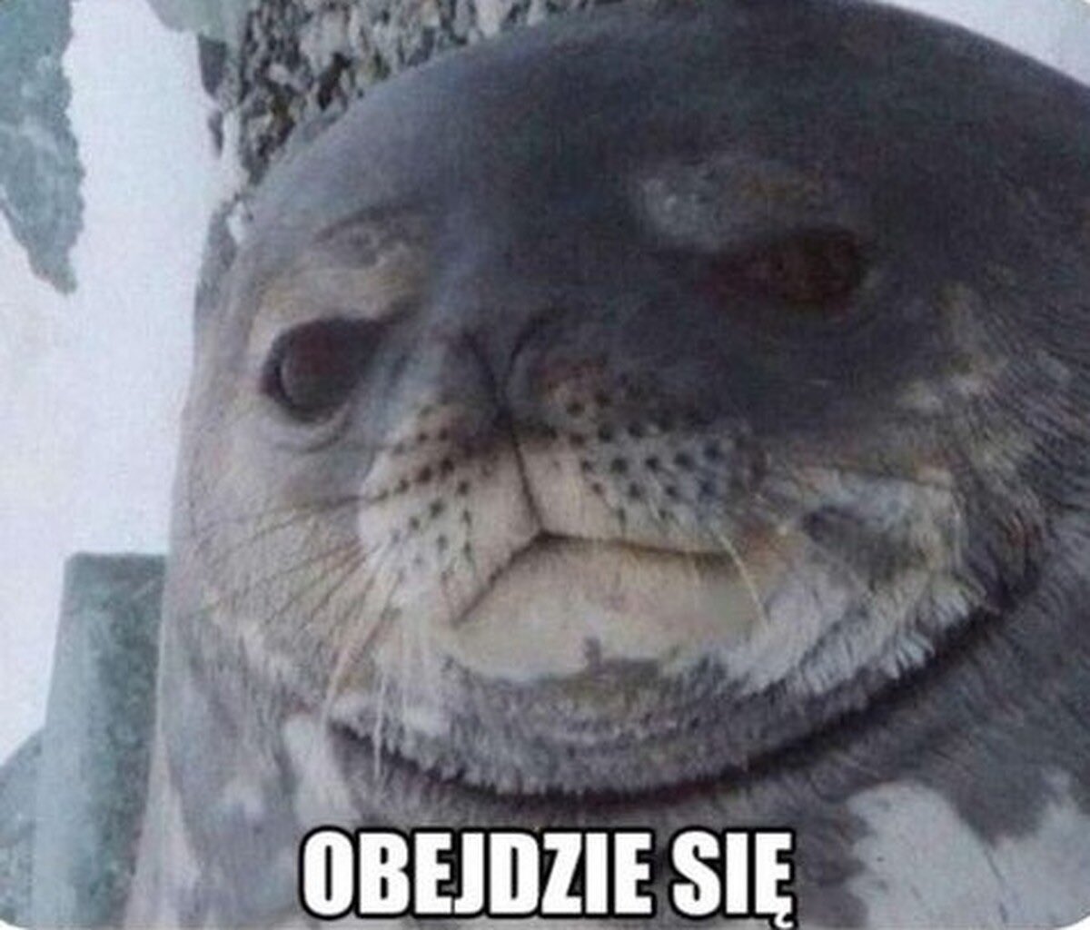 Mentezufis tweet media