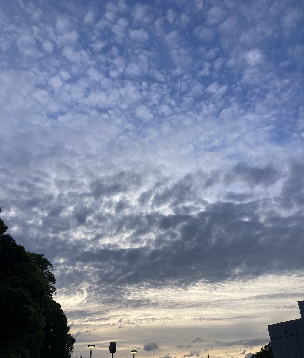 昨日の夕空。娘を見送り、あぁ、終わっちゃったなと切なくなった。