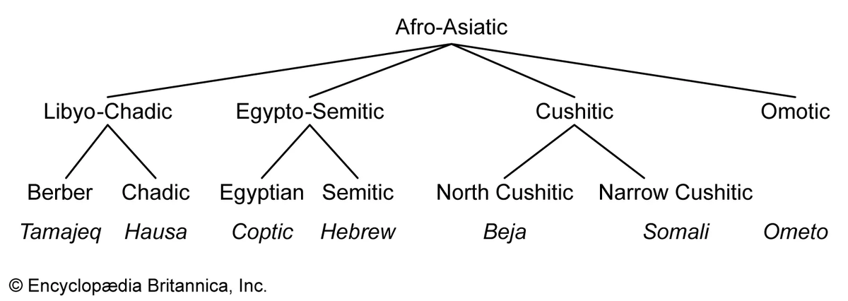 12156565's tweet image. Science backs up by the Bible
Isaiah 19:18 - Hebrew the Language of Canaan
Also
Distant Cousin Branches
Egyptian - 4kyrs before Hebrew
Berber - 8k before
Cushitic - Thousands of yrs before recorded history
All Semetic Languages originate in Africa
#Christianity #Church #Christ