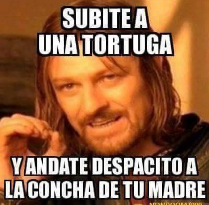 Con Los Niños No tweet media