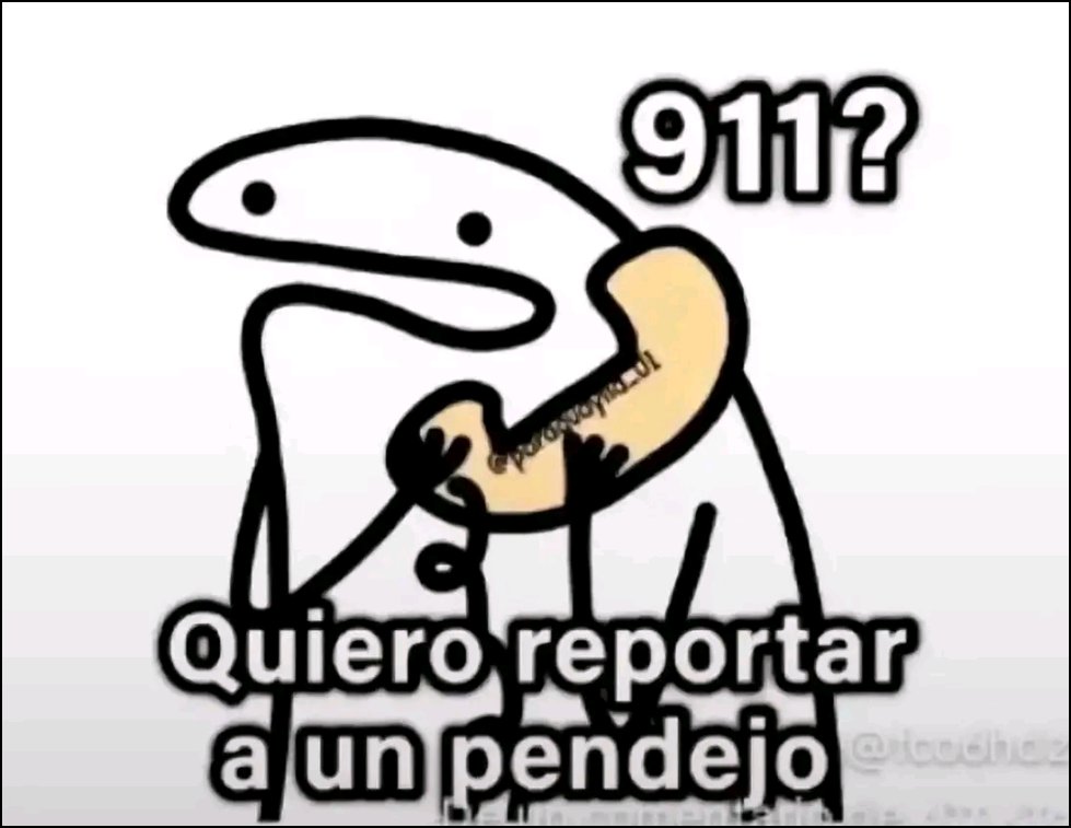 adrian marquez tweet media