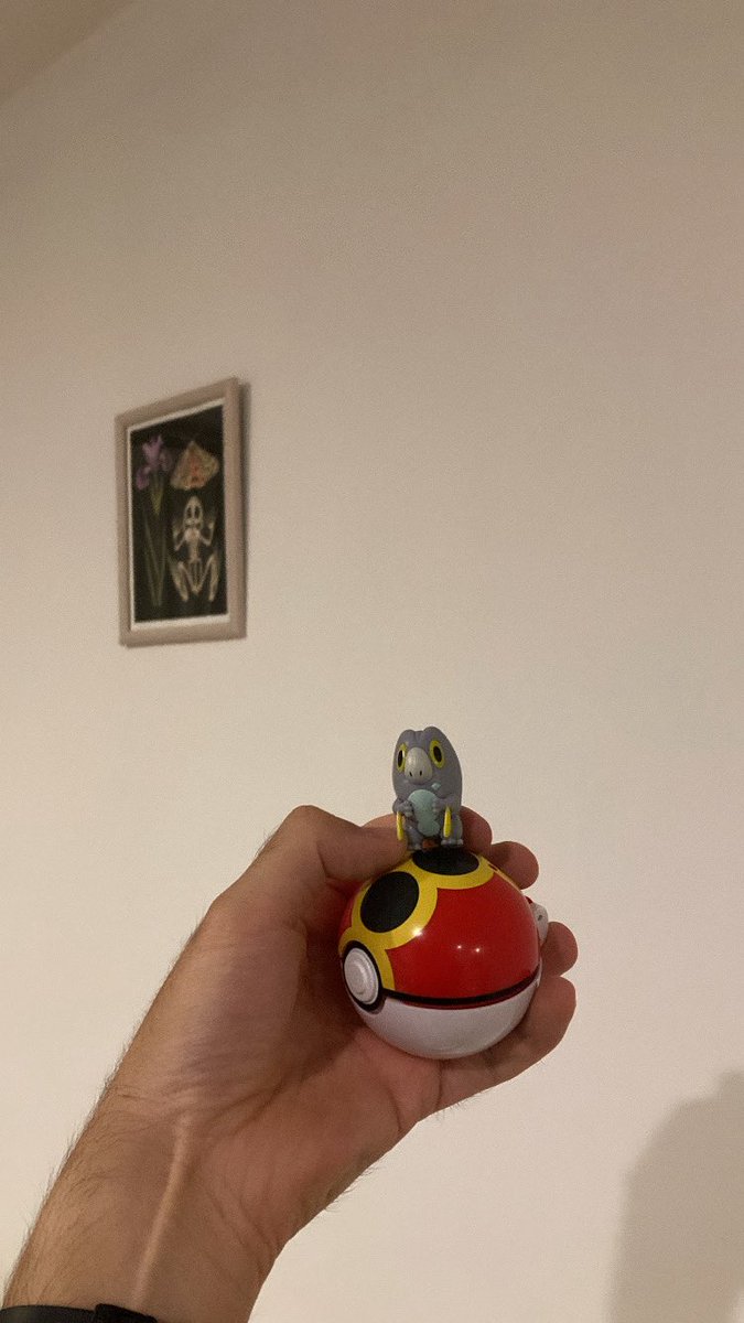 aIguienn's tweet photo. Mi amada me regaló un Frigibax. ¿Es momento de pedirle matrimonio? https://t.co/lC6MIX39J8