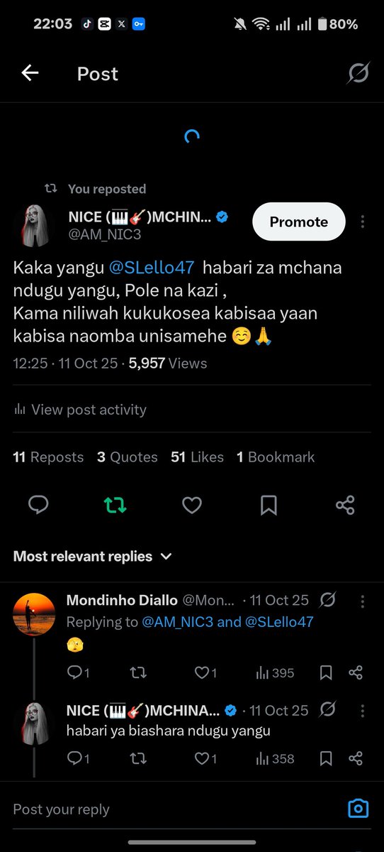 NICE (🎹🎸)MCHINA WINGA tweet media