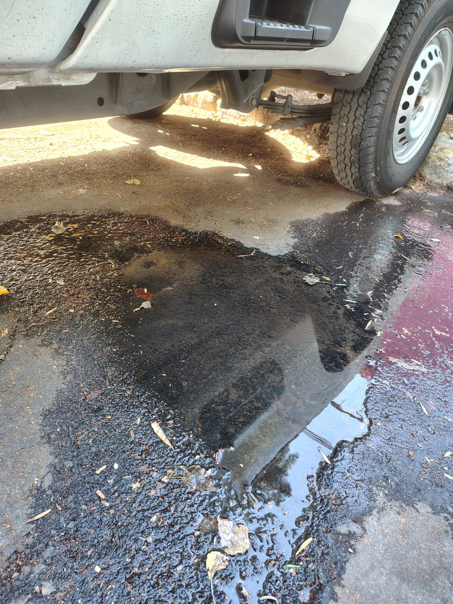 LauFrey's tweet photo. 2.  Pallares y Portillo 181 reporte SUAC-29042641799, se adjuntan imágenes de más folios 

@SEGIAGUA @Alcaldia_Coy @locatel_mx https://t.co/wdCEJyLpn7
