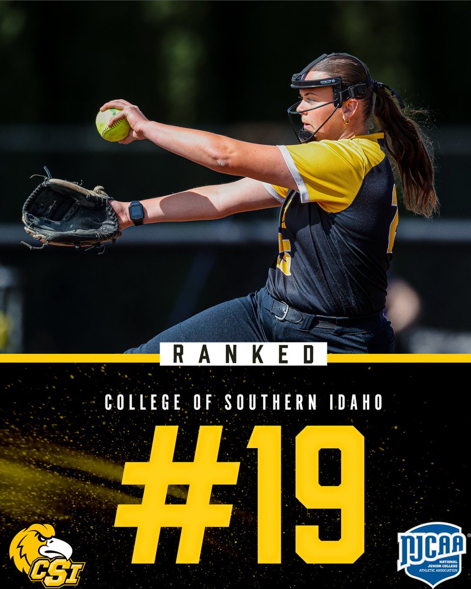 CSI Softball tweet media