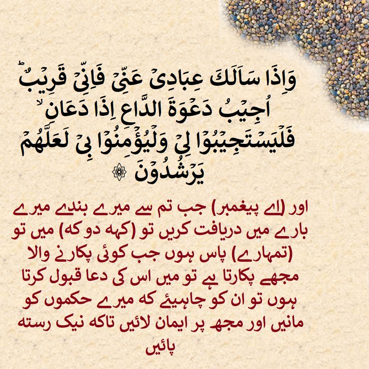 محمد نعمان القرشي 🦅 tweet media