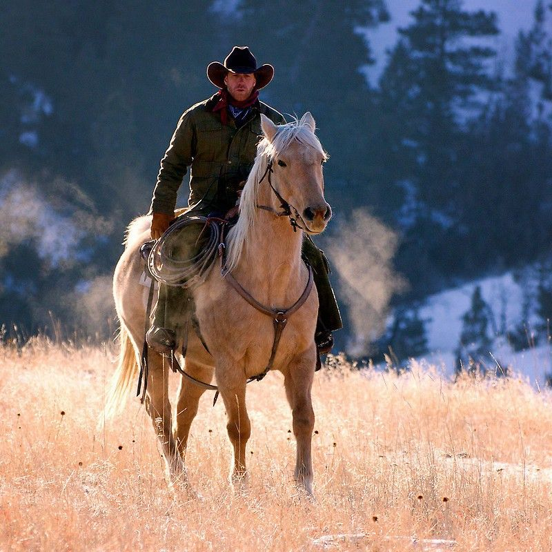 JulieParker144's tweet image. I love horses and the western life. I grew up on a ranch in Silicon Valley, California. We had horses, and tons of animals. It was a wonderful place to grow up. #SiliconValley #Horses #California pinterest.com/jparker0666/am…