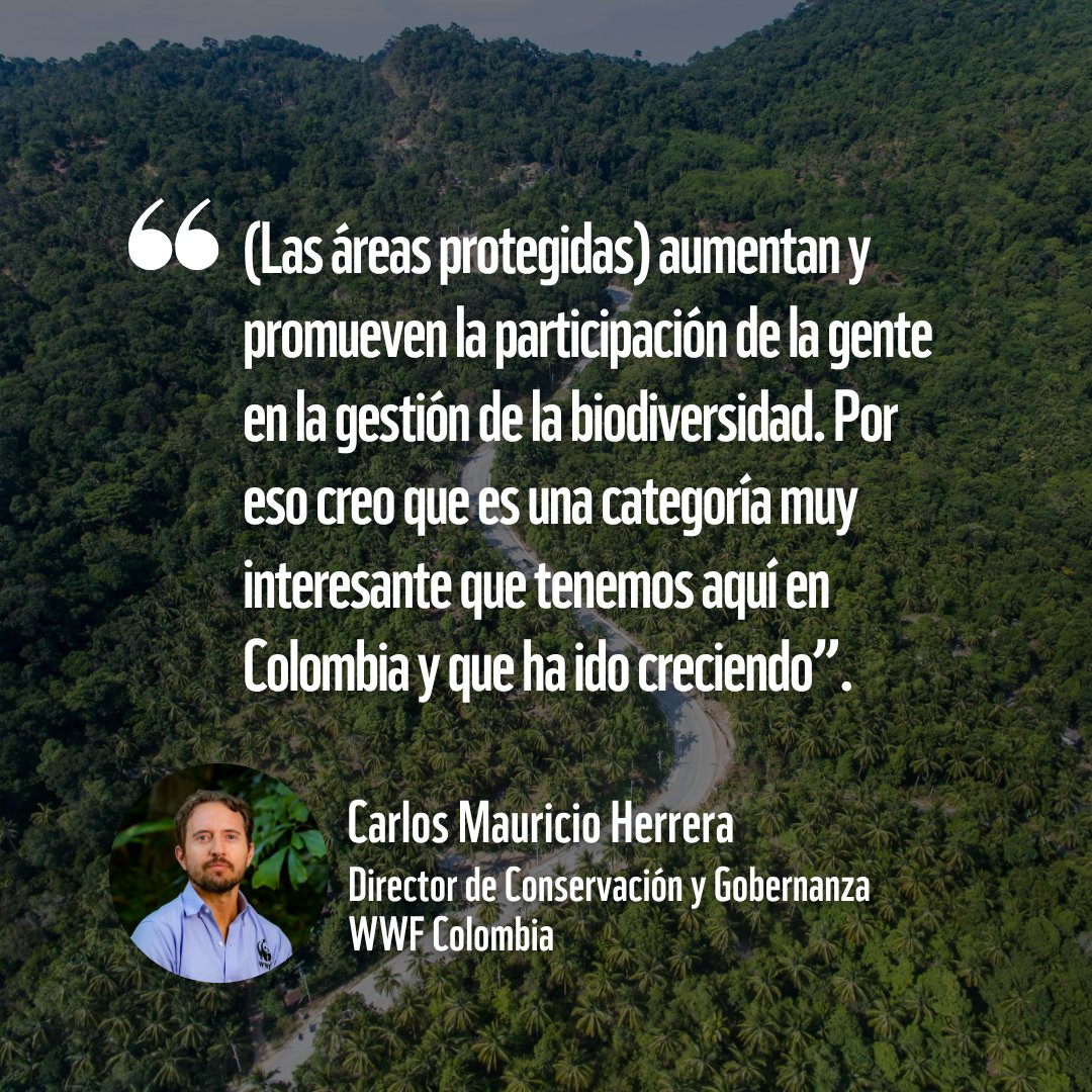 WWF Colombia tweet media
