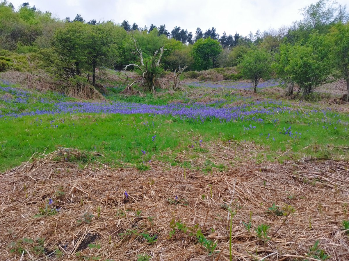 TeamHarris123's tweet image. Really got to love #Yorkshire!