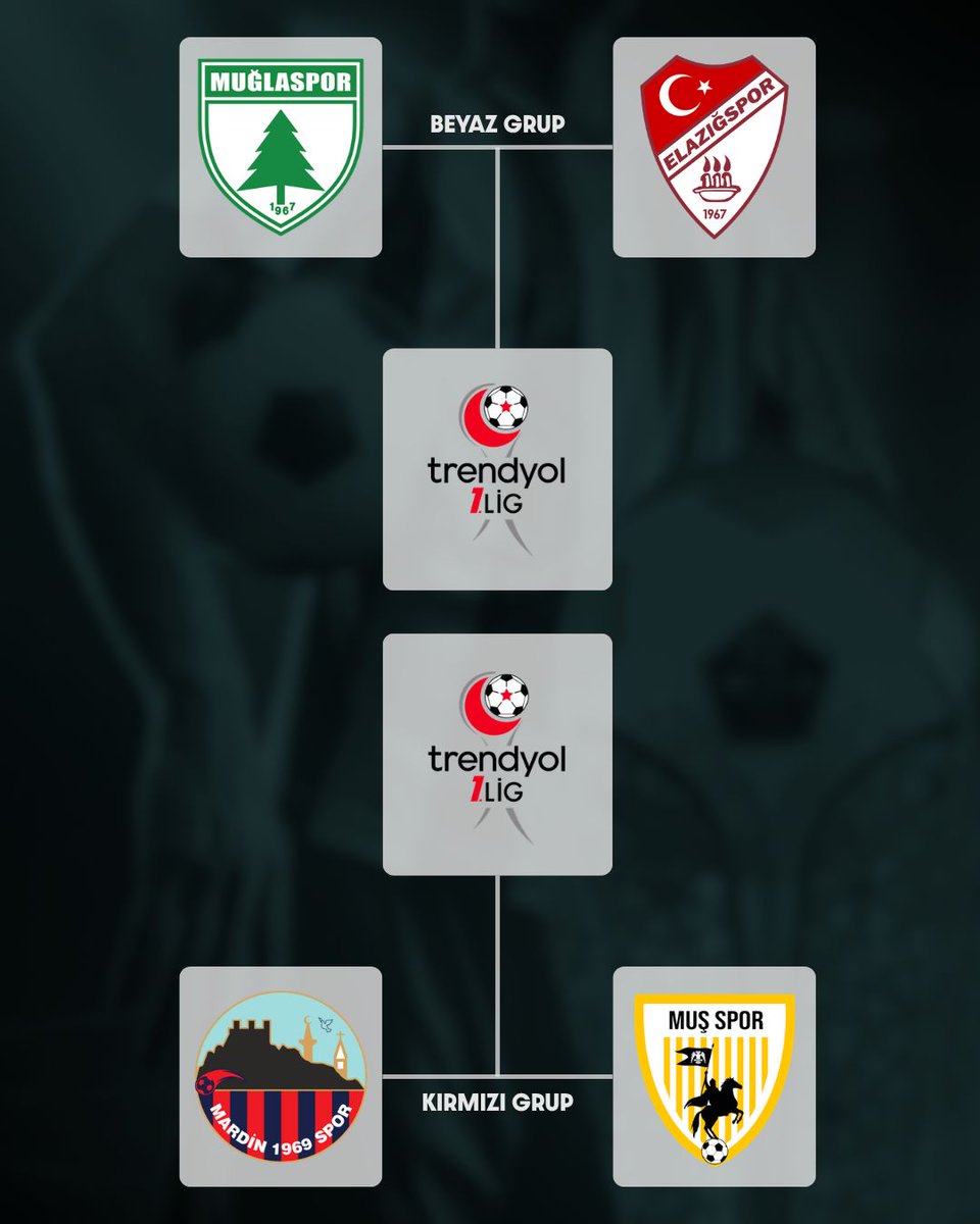 Spor Toto 1. Lig tweet media