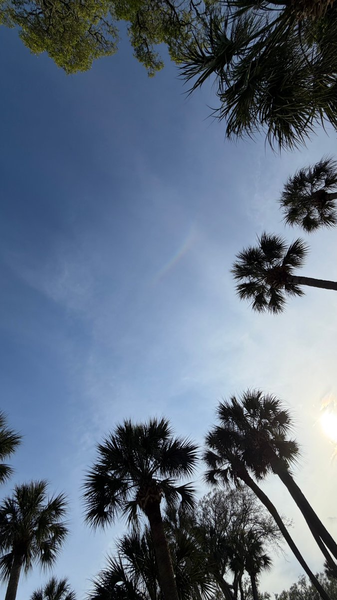 CoraAHarris's tweet image. Such a pretty halo — the circumzenithal arc, or CZA.