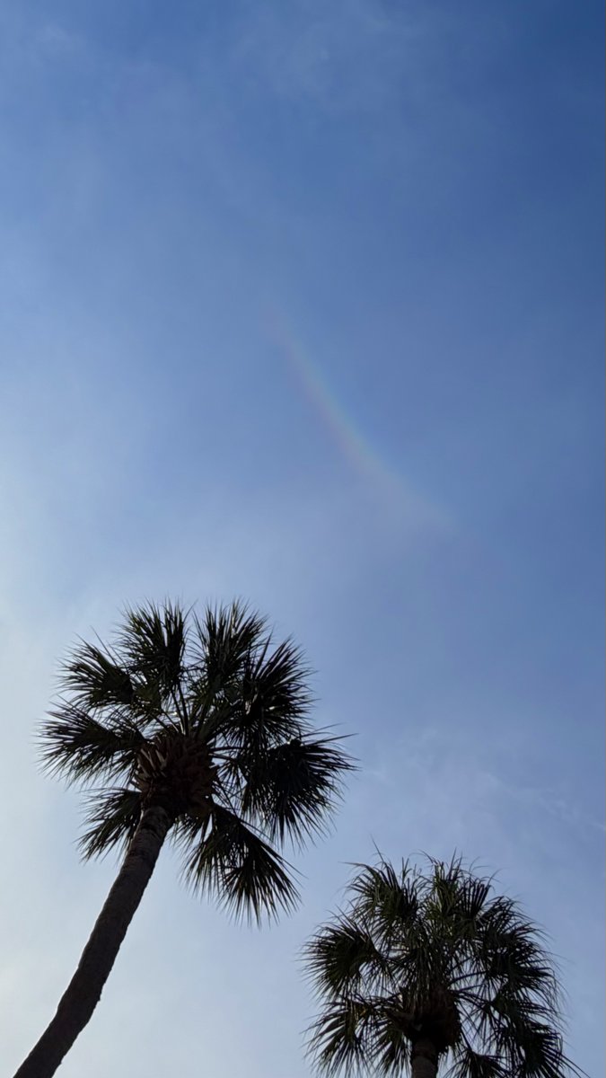 CoraAHarris's tweet image. Such a pretty halo — the circumzenithal arc, or CZA.