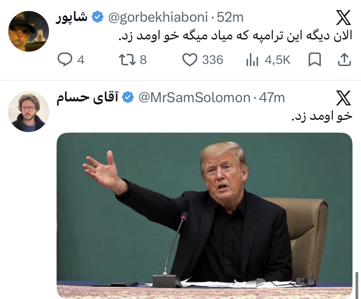 Cat Mom 🇮🇷 tweet media
