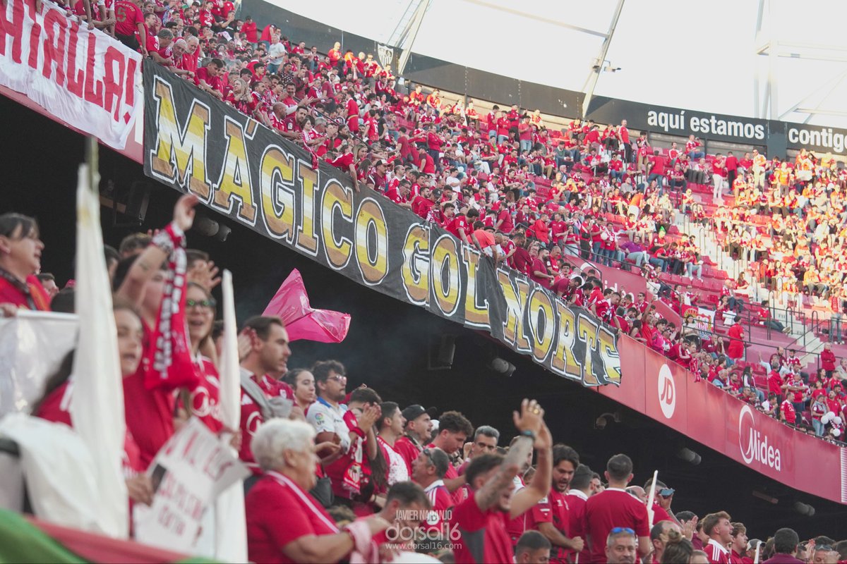 dorsal16_'s tweet image. 🔴𝓣𝓞𝓓𝓞 𝓐𝓛 𝓡𝓞𝓙𝓞

👏Nervión se tiñe de rojo con un ambiente espectacular para el Sevilla FC - Real Sociedad. Banderas y rollos de papel al viento para una noche vital. 

📸 @mmendozafoto @JavierNFotos 

#SevillaFC #LaLiga #Dorsal16 #SevillaRealSociedad