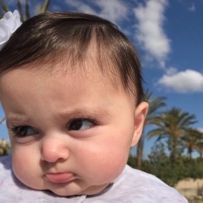 دختور🔥🔥 tweet media