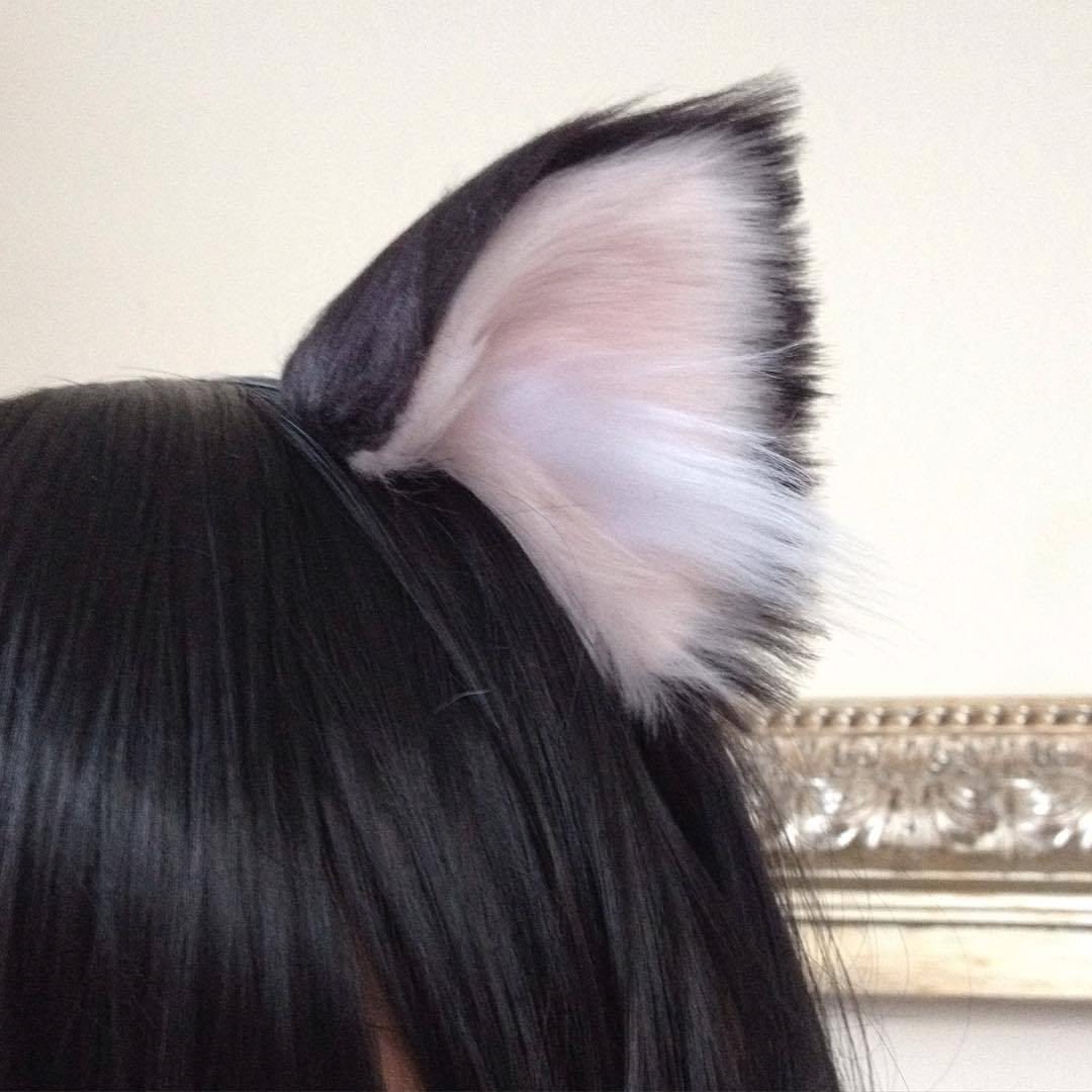 🐾 vivi ⟡ tweet media