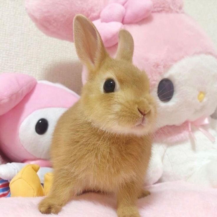 ‏ﹺ tweet media