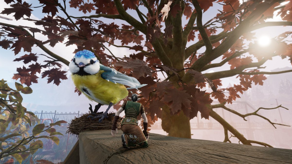 GoNintendoTweet tweet media