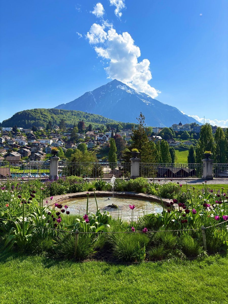 はな🌸@スイス旅行中🇨🇭 tweet media