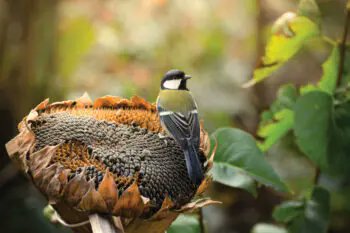 Give A Shit About Nature tweet media