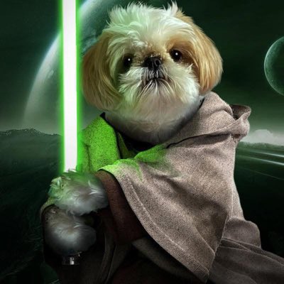 🪐🐾DARTH RUBYKINS🐾🪐 tweet media
