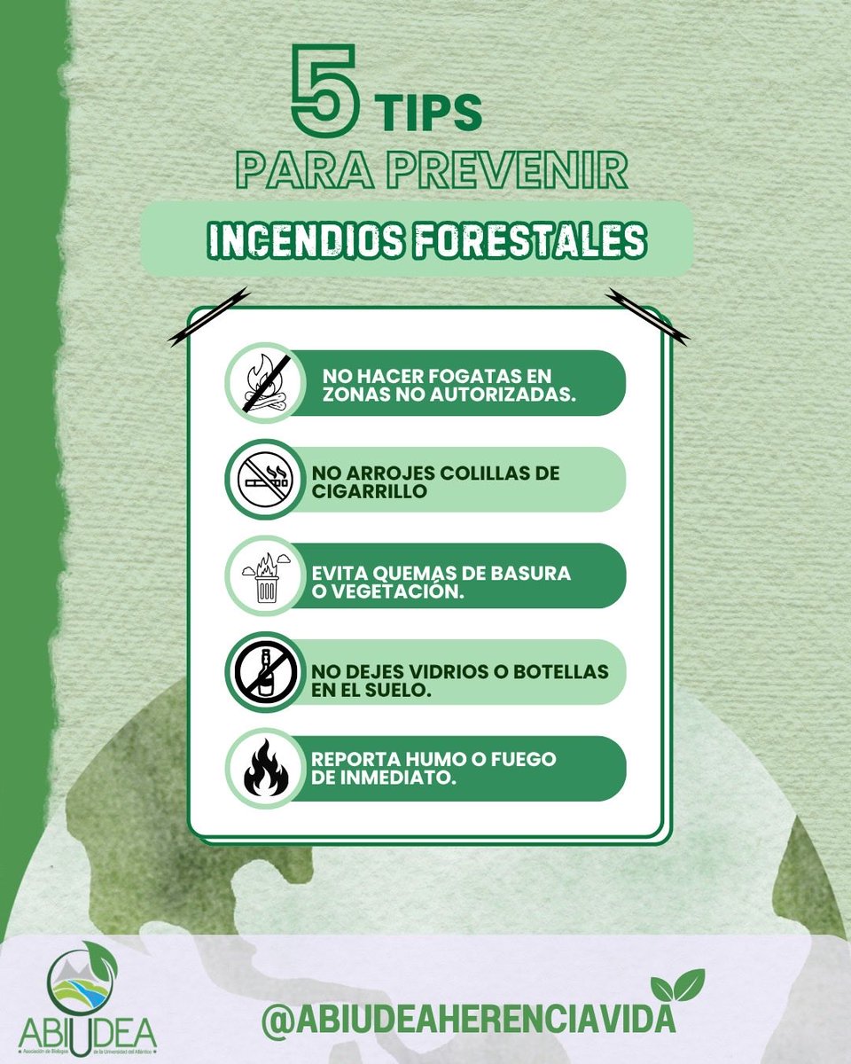 abiudeaoficial's tweet image. Hoy, en el Día Mundial del Combatiente de Incendios Forestales, honramos a quienes protegen la vida y nuestros bosques con valentía. 🌿🔥

Desde ABIUDEA, reconocemos su labor y recordamos: prevenir es tarea de todos. 💚🌎

#IncendiosForestales #MedioAmbiente #CambioClimático