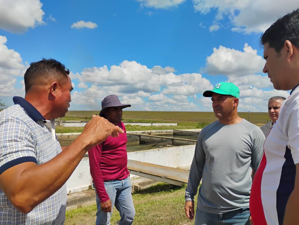 rlicea_mojena's tweet photo. Fructífero recorrido por la Avicultura, la Acuicultura y el Polo arrocero Sabana Grande, evaluamos estrategias diseñadas para incrementar la producción de huevos, claria, tilapia, y arroz, vitales para la alimentación del pueblo #IslaDeLaJuventud #SentirPinero #100AñosConFidel https://t.co/mjvwTU0jao