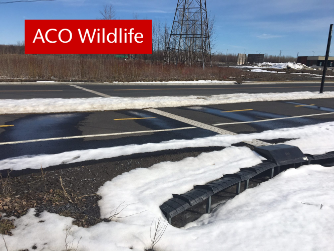 ACO Canada (@CanadaAco) / Posts / X