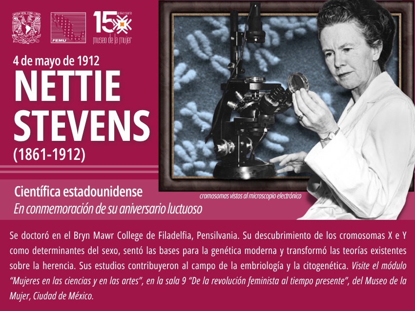 museodelamujer's tweet image. #HOY reconocemos el legado de Nettie Stevens y Carmen Cook, pero también conmemoramos la publicación de la Ley General de Transparencia y Acceso a la Información Pública en México y recordamos la represión a las mujeres por la Inquisición. 

#Efemérides #MuseoDeLaMujer